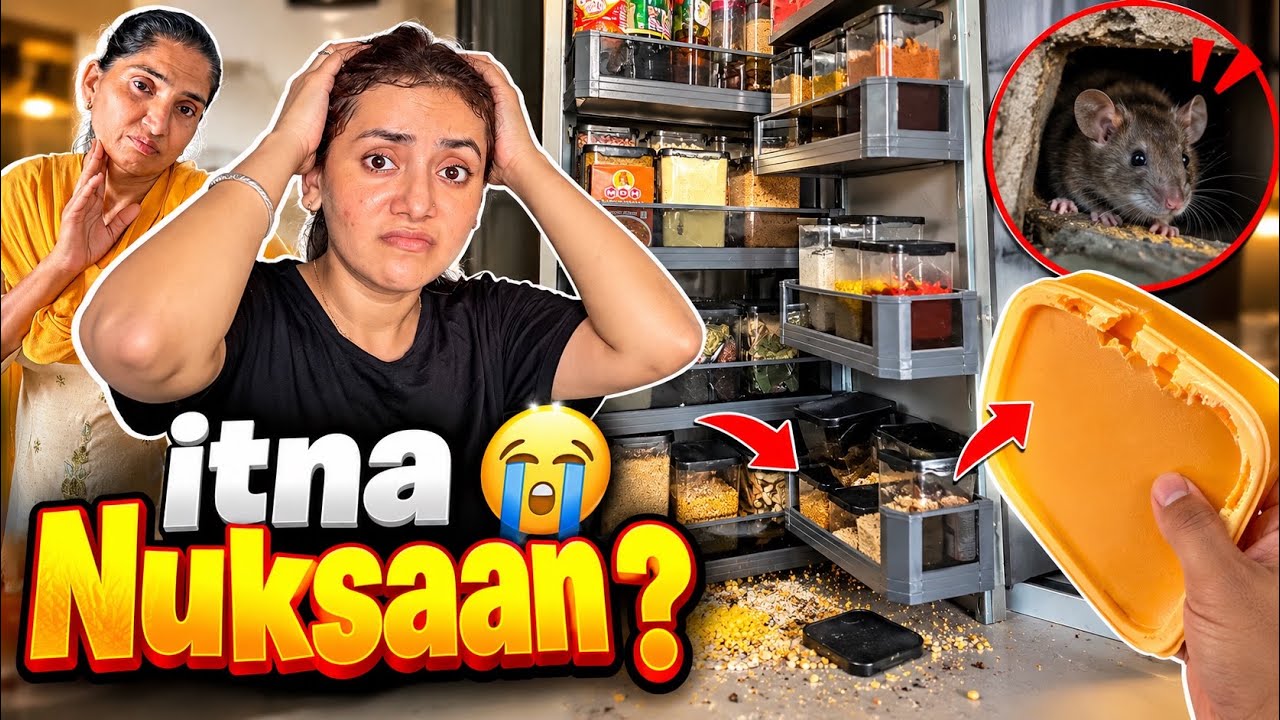 New Ghar Mein Chuho Ne Aatank Macha Diya 😱😭