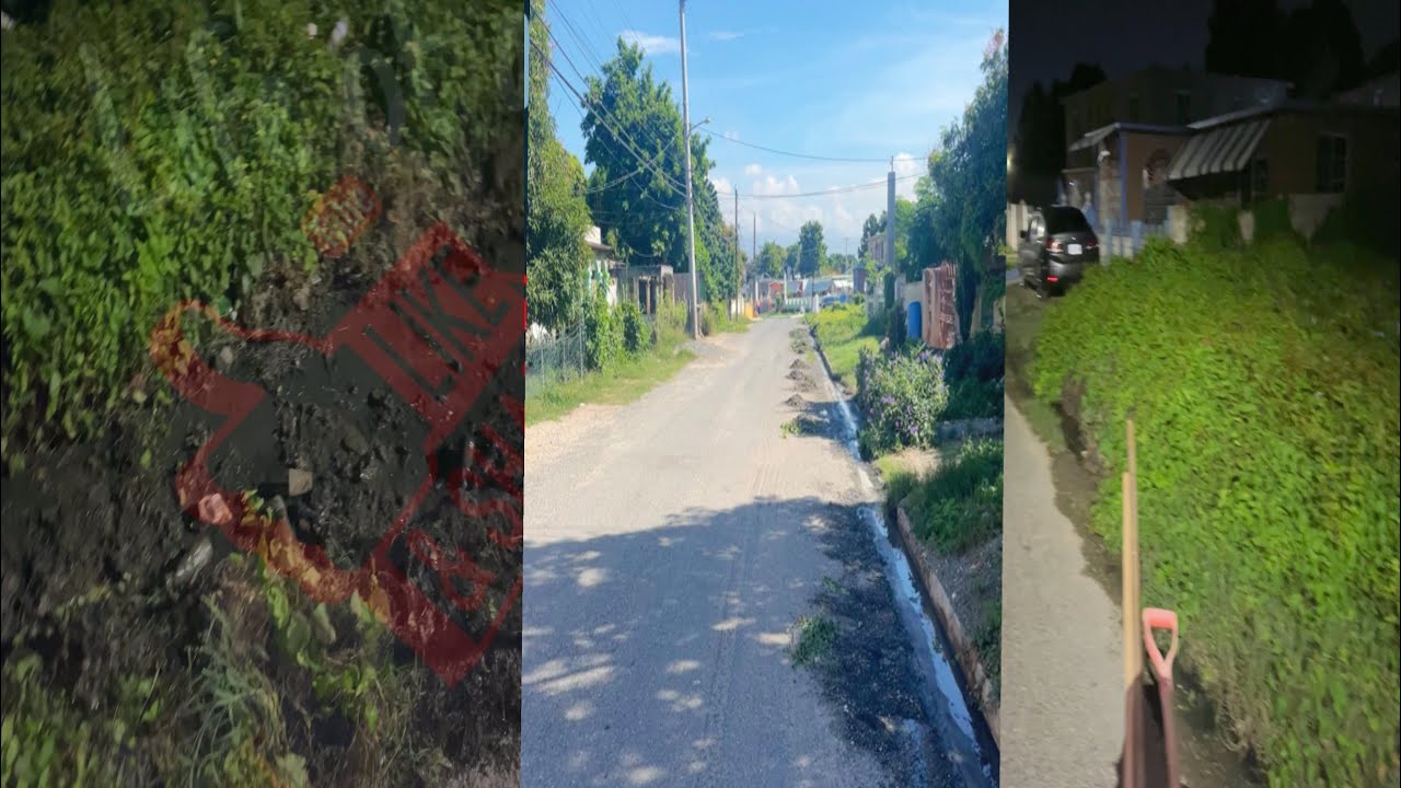 Keep Jamaica 🇯🇲 Road Clean Before & After 😳 