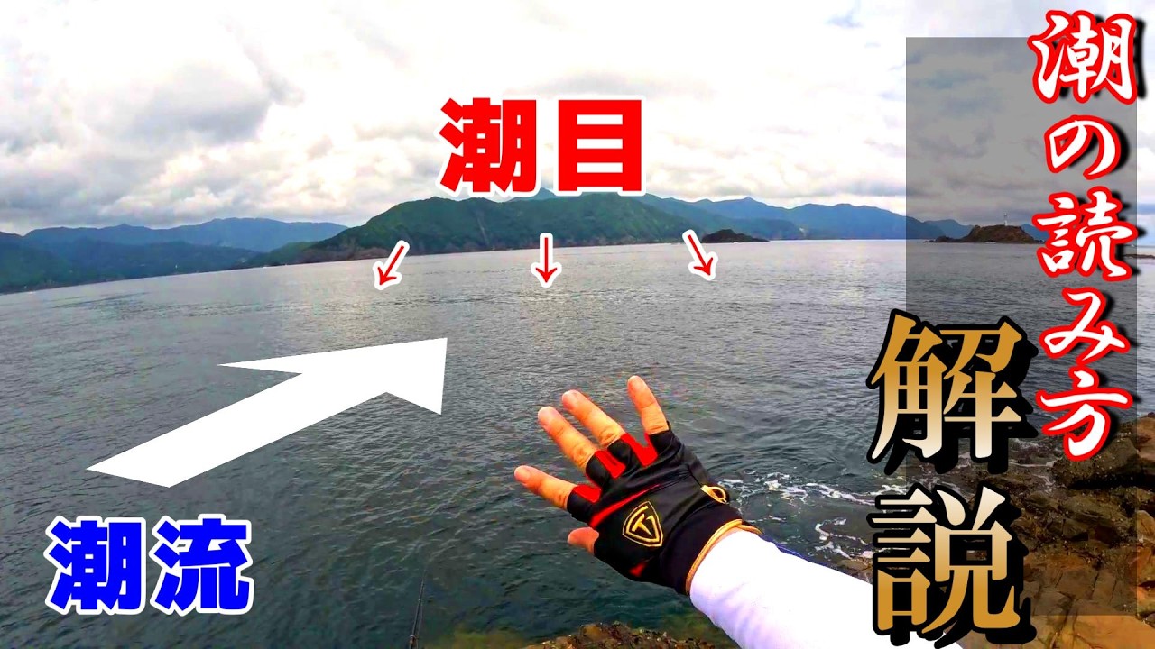 【磯釣り】どうしてその仕掛けで釣れるのか解説します！【前編】