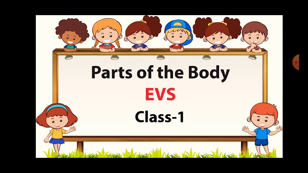 Parts Of The Body/ EVS- Class 1- My Body