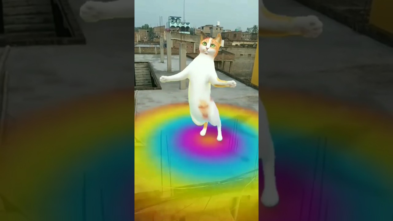 chunni mein perfume Laga Le 😺😻😺😻 #dj #song #jayaprakash #djremix #shorts #short feed