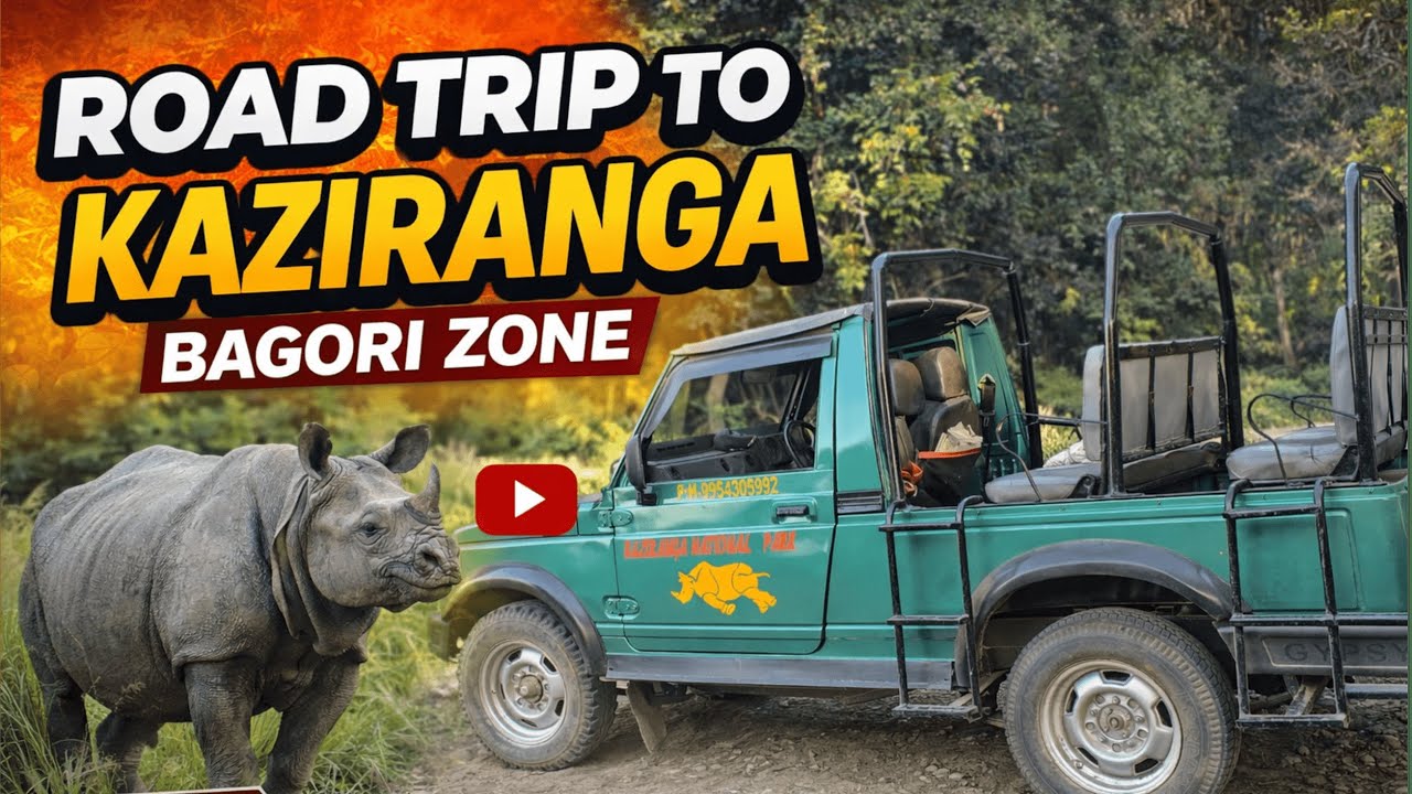 Kolkata to Kaziranga Road Trip  Bagori Zone Safari Rhino, Marshlands &And Mesmerizing Views
