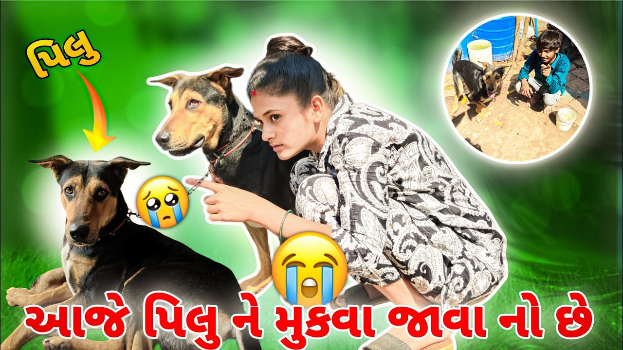 આજે પિલુ ને મૂકવા જાવાનો છે 😭 || Aje pilu ne mukva javano Che 🥺 | Dog 🐕 Vlog