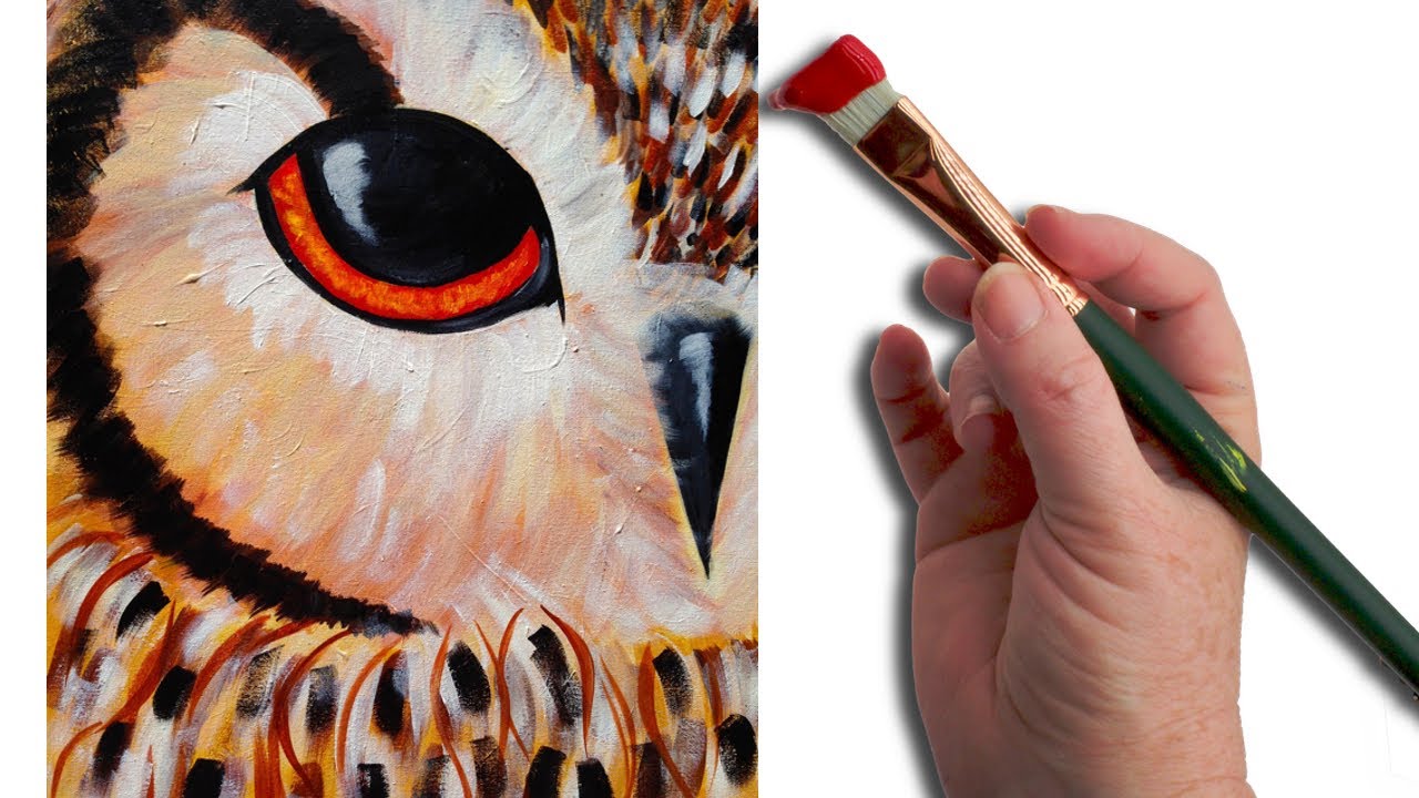 Simple Owl EYE Beginner Acrylic Painting Lesson The Art Sherpa | TheArtSherpa