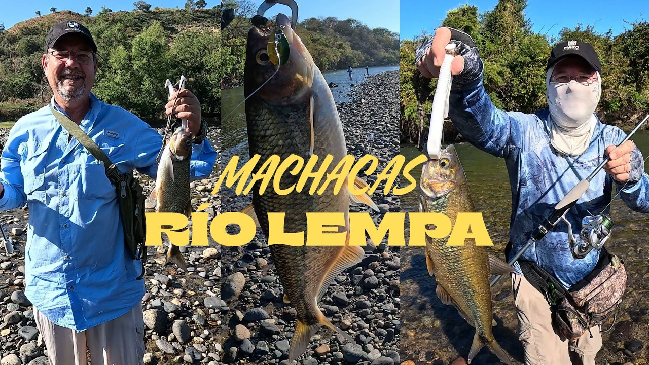 PESCANDO MACHACAS en el RÍO LEMPA #elsalvador #pesca #fishing #riolempa