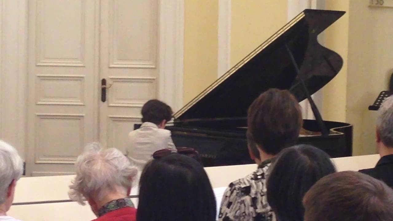 Alejandro Gonz&aacute;lez Gerwig plays 