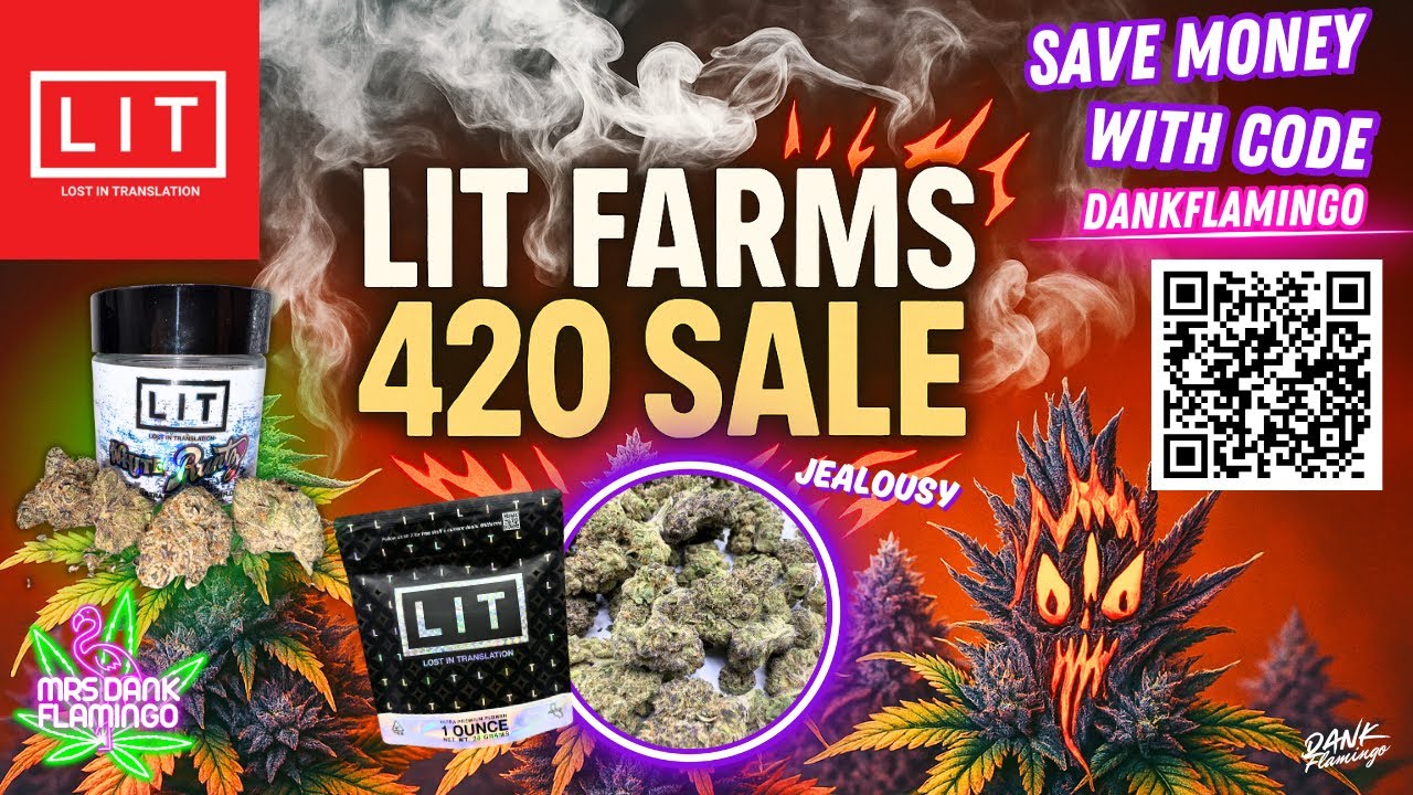 Пробую Jealousy Preferred и White Runtz Supreme Jar от Lit Farms! Миссис Dank Flamingo!