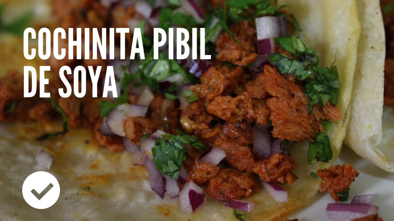 COCHINITA PIBIL DE SOYA | ALE DE NAVA
