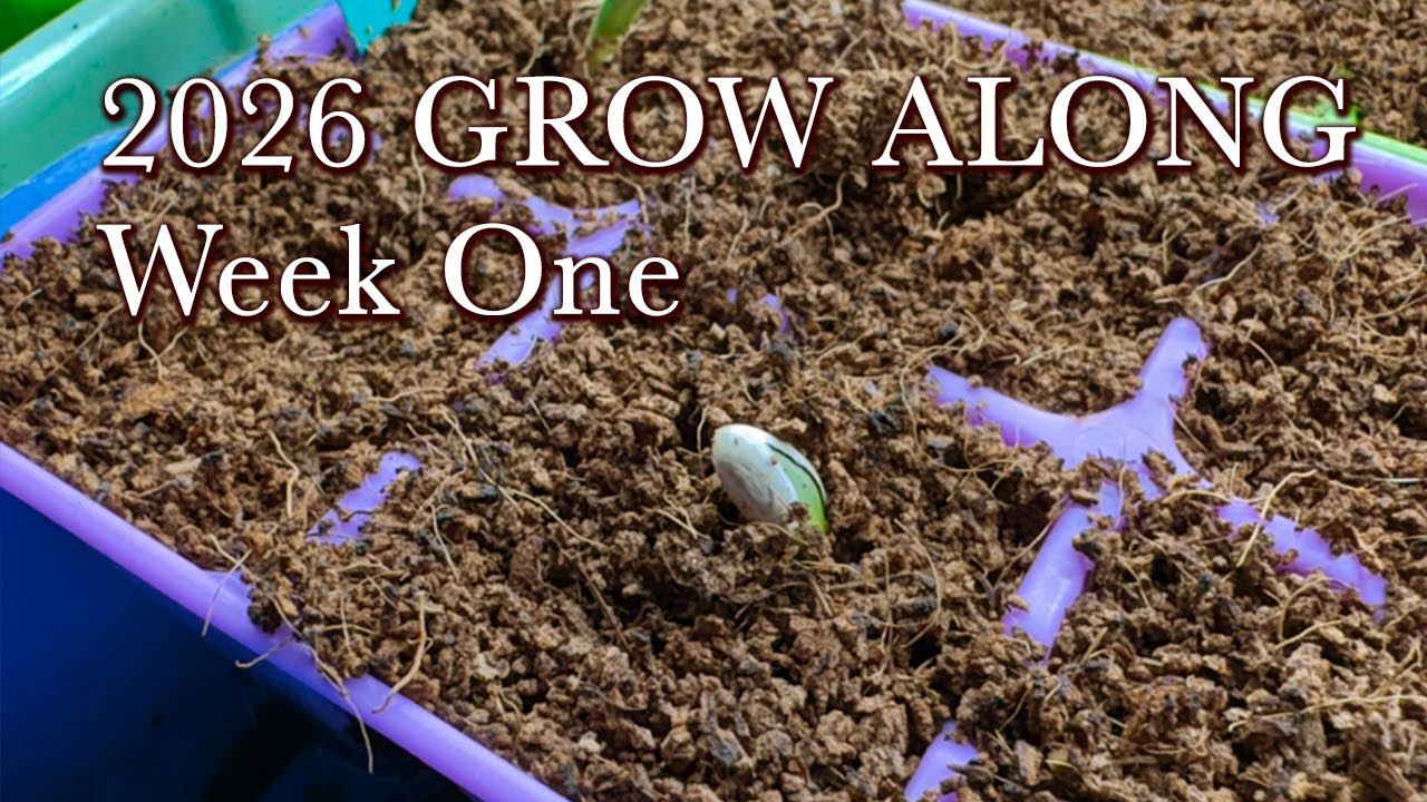Grow Along Week One - Seed Starting - 2026 - Veggies and Flowers
