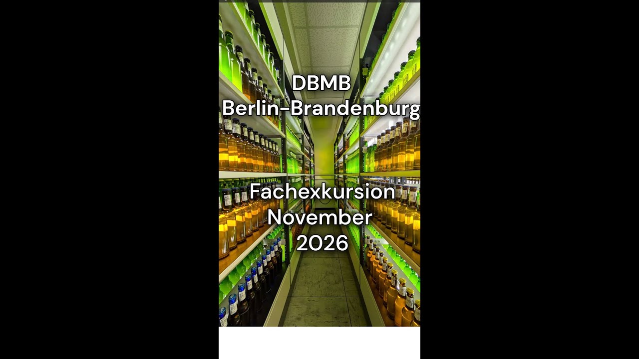 DBMB Berlin-Brandenburg: Fachexkursion November 2025