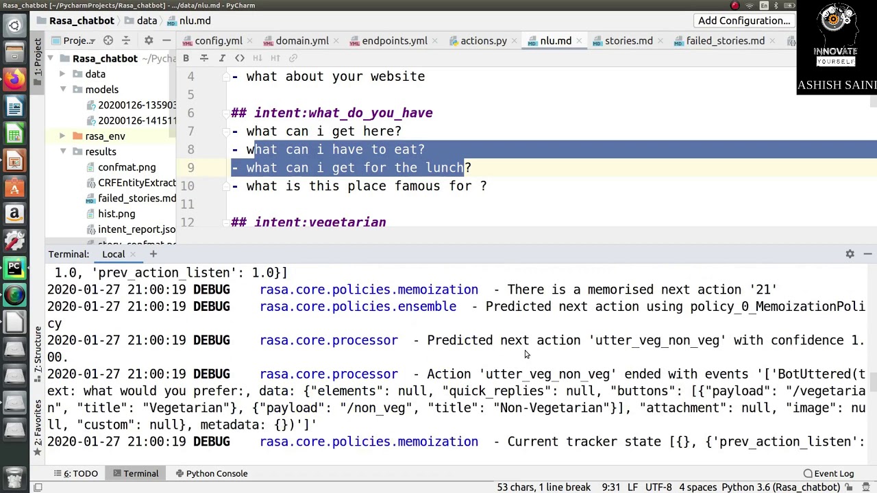 Entity Extraction in Rasa Chatbot