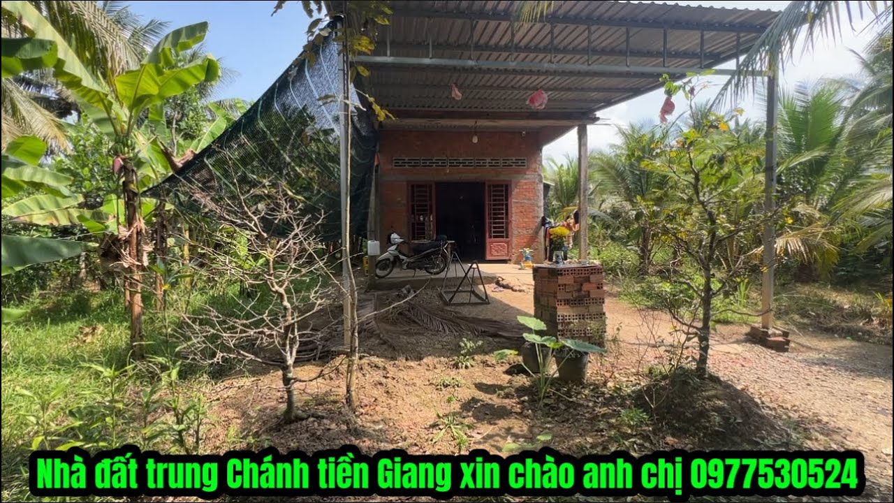 T.3196 bán mảnh đất vườn gần thành phố Mỹ Tho tiền Giang thích hợp nghỉ dưỡng tuổi già luôn khu dân