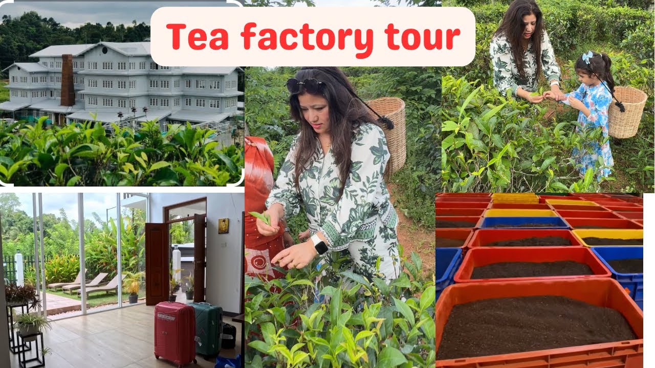 Beautiful Stay at Aquahills villa in Peradeniya | Tea Factory Visit | Sri Lanka Visit | Episode 5