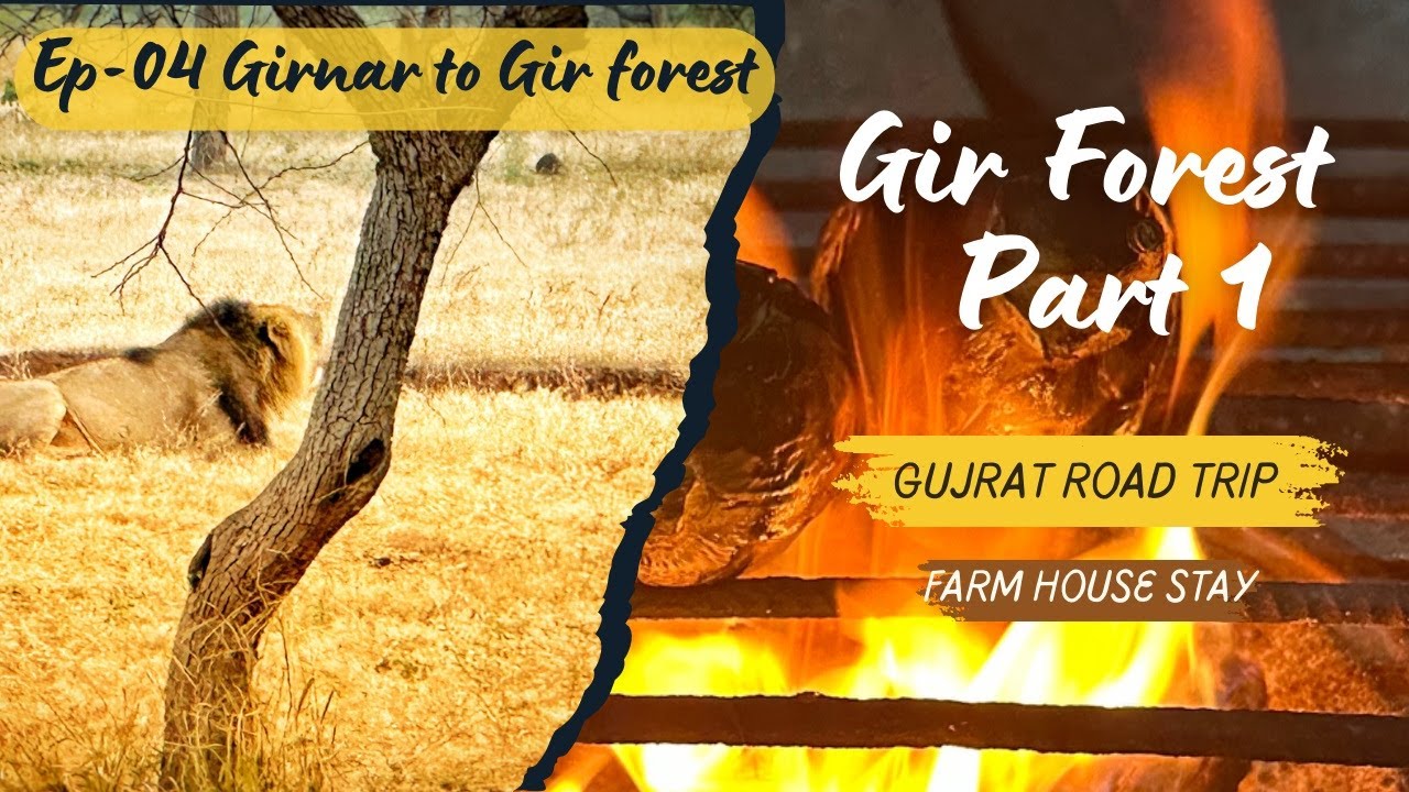 EP-04 | Girnar to Gir National Forest experience - Part 1| Danak Farmhouse homestay & local food.