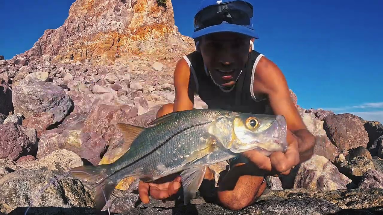 [Short Fishing session on rocks] Pesca de orilla con goma PESCANDO PALETAS