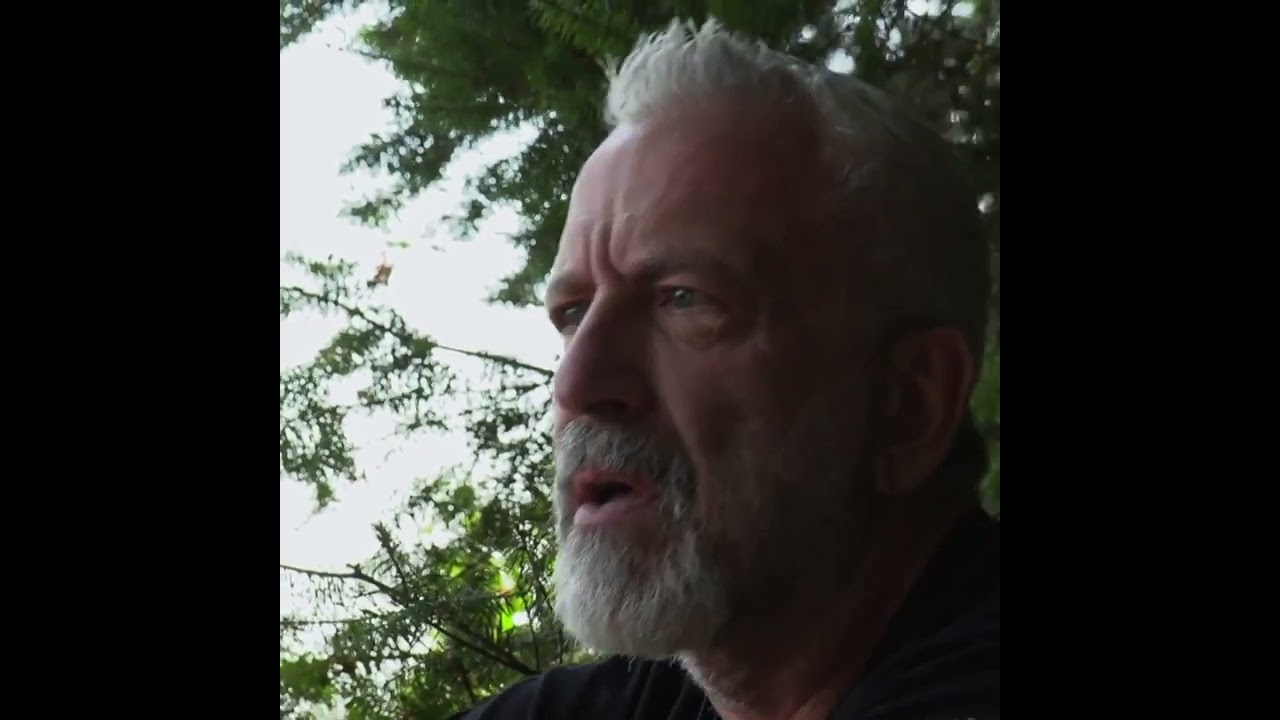 Bigfoot Filmed Standing Up And Walking Off [short]