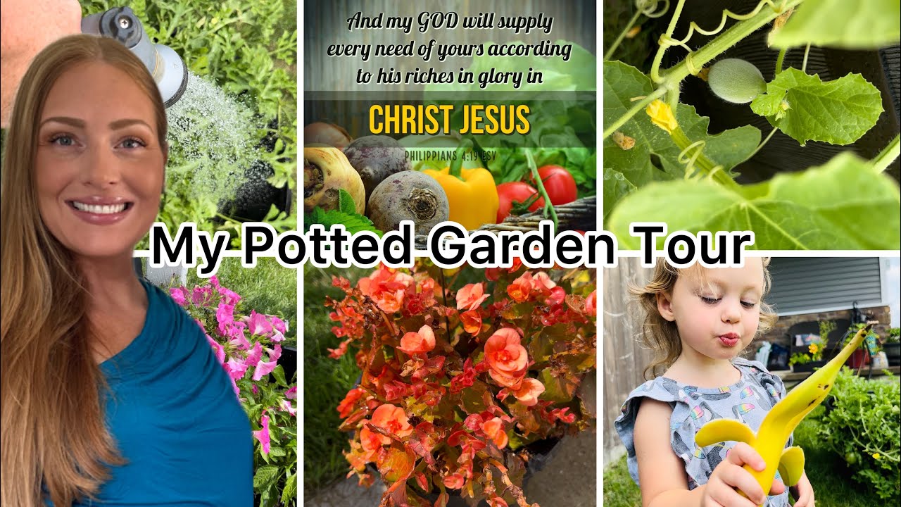 Garden Tour / Morning Routine