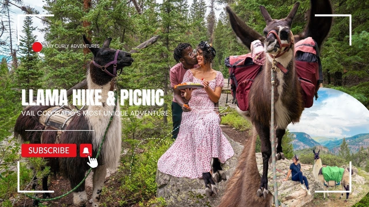 Llama Hike & Picnic in Vail Mountain: A Unique Adventure