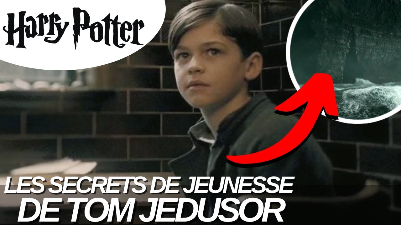 LA JEUNESSE DE VOLDEMORT : LE DERNIER DES GAUNT .....