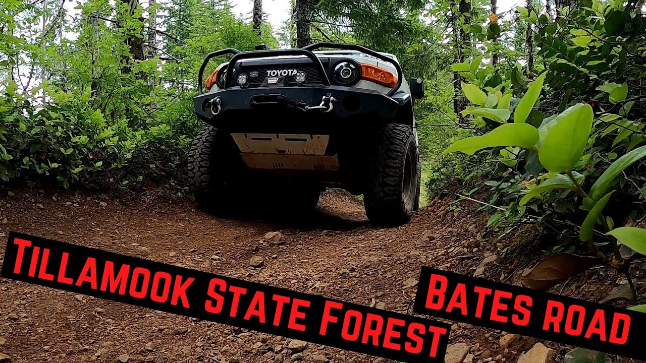 Tillamook State Forest // Bates Road // Toyota FJ Cruiser