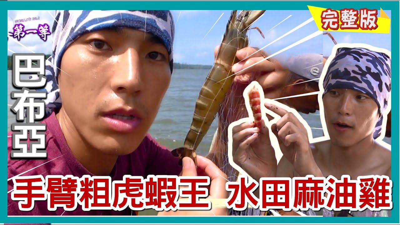 【印尼】手臂粗野生虎蝦王  緝捕蝦中之巨無霸 家鄉味樹上水果蝦餅｜《世界第一等》693集完整版