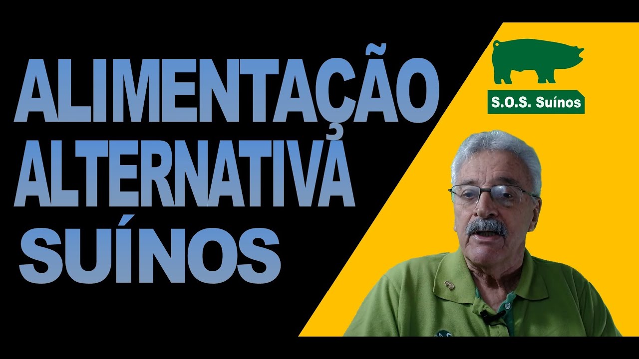 SUINOCULTURA: Alimentos Alternativos para Suínos