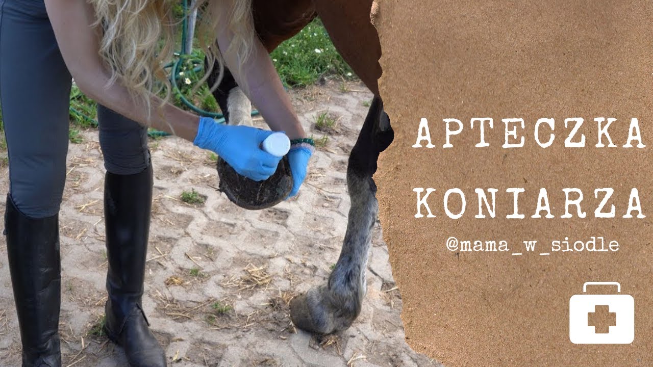 Jak wyczyścić kopyto u konia?