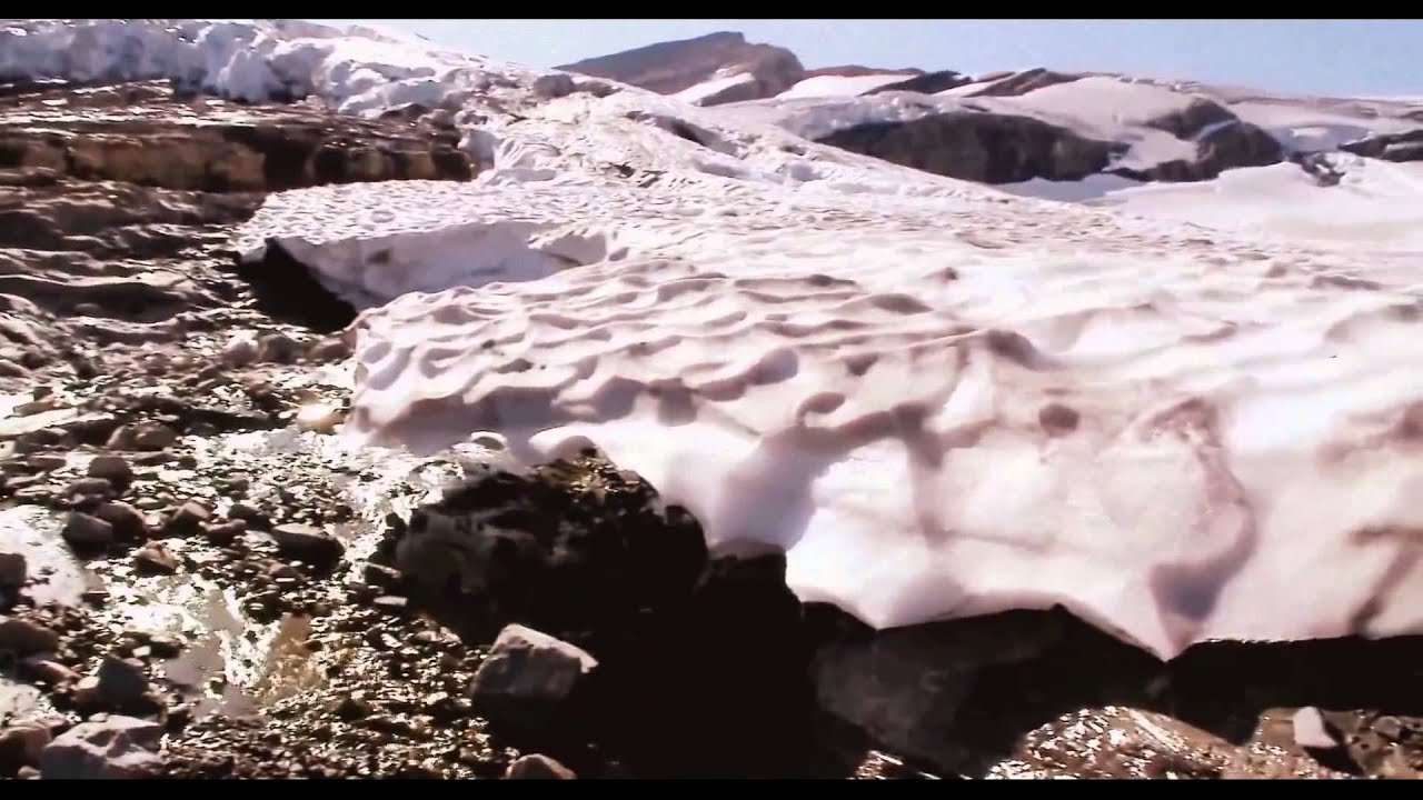 Soft Dream - Jean - Yves Edmond Rigo, Jean Yves Rigo