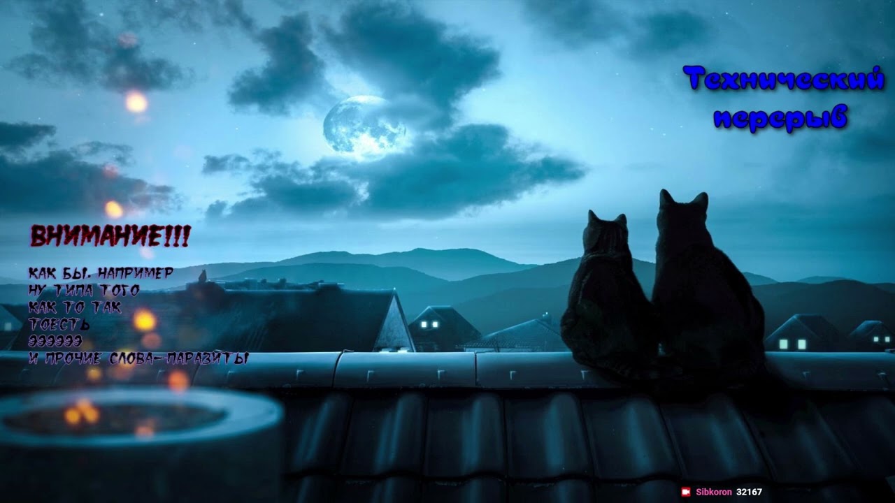 Заказ molder13. Часть 1. Moon Hunters и SKYHILL.