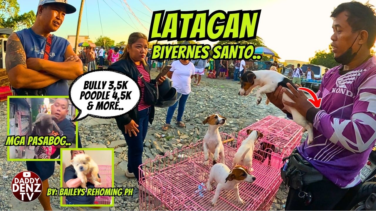 MAGAGANDA DIN MGA DALA NILA.. / APRIL 3 @BOCAUE PETS & LIVESTOCK MARKET