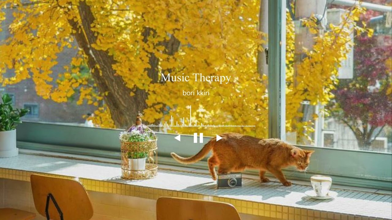[𝐏𝐥𝐚𝐲𝐥𝐢𝐬𝐭] 실제 상담실에서 흐르는 차분한 피아노 BGM 🧘🏻&zwj;♂️🎹🍃🍂 (2 Hours of Calm Piano)