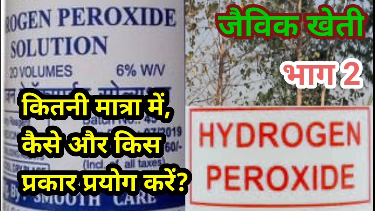 203. हाइड्रोजन परोक्साइड का खेती में प्रयोग और सावधानियां ।। How to use and cautions ?