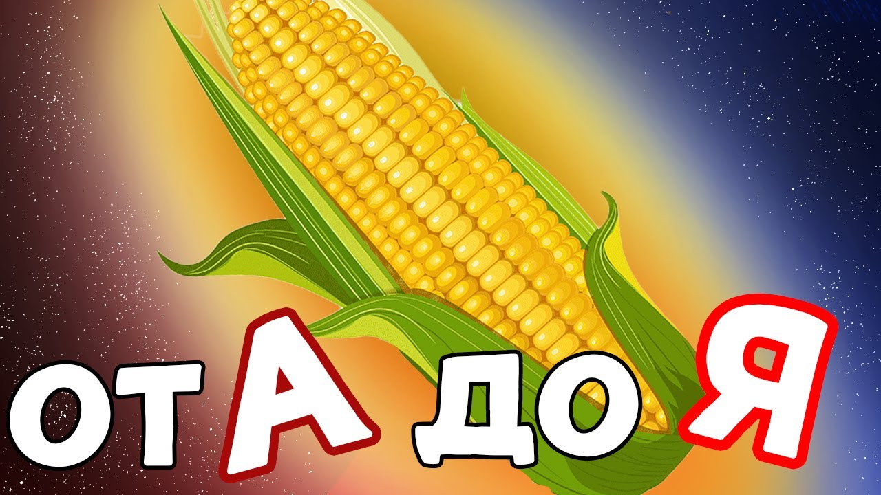 Сахарная кукуруза. Что нужно знать при ее посадке!!!