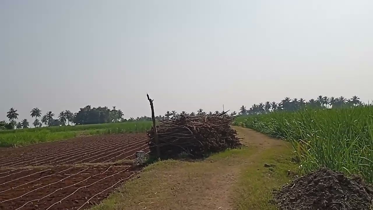 (04)Agricultural Land For Sale In Kallakuruchi Dt Budget 50 Lks/ Acre Contact No 9500833729