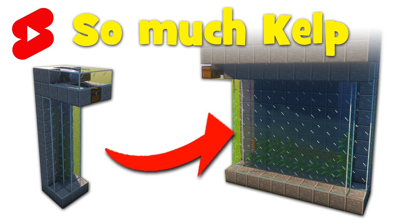 Automatic Kelp Farm in 25 Seconds 🔥