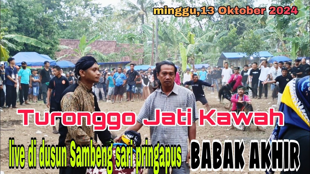 Reog Turonggo Jati Kawah/live di dusun sambeng pringapus/terbaru 13 oktober 2024