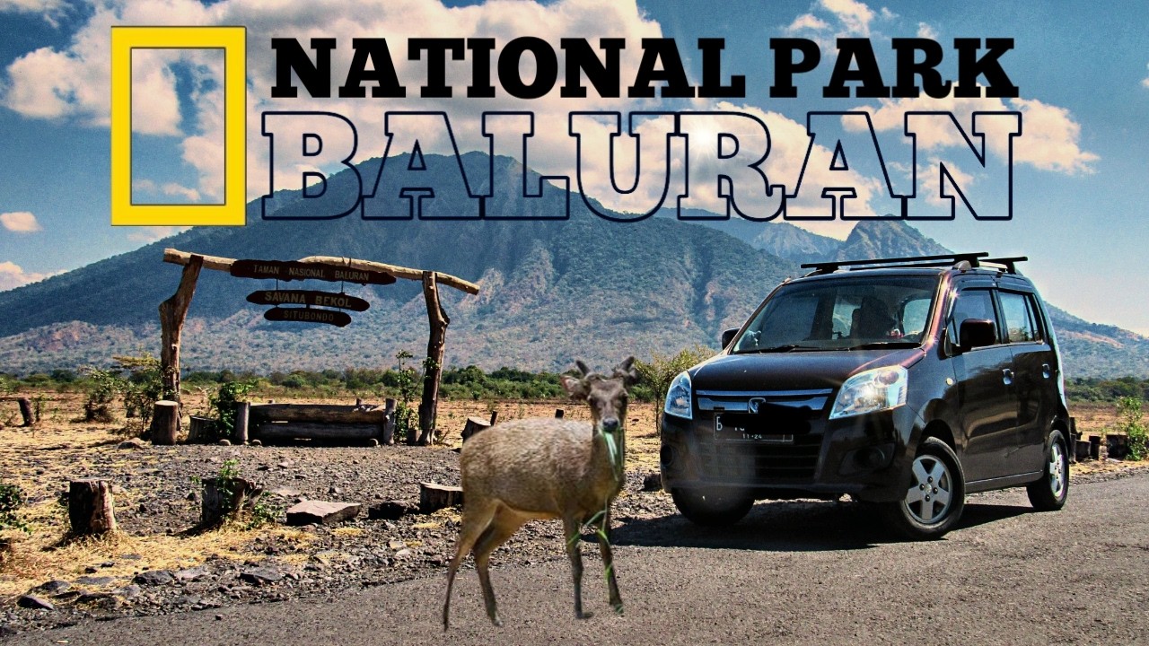 EXPLORE BALURAN NATIONAL PARK, PADANG SAVANA AFRICA VAN JAVA DAN EKSOTIS NYA PANTAI BAMA