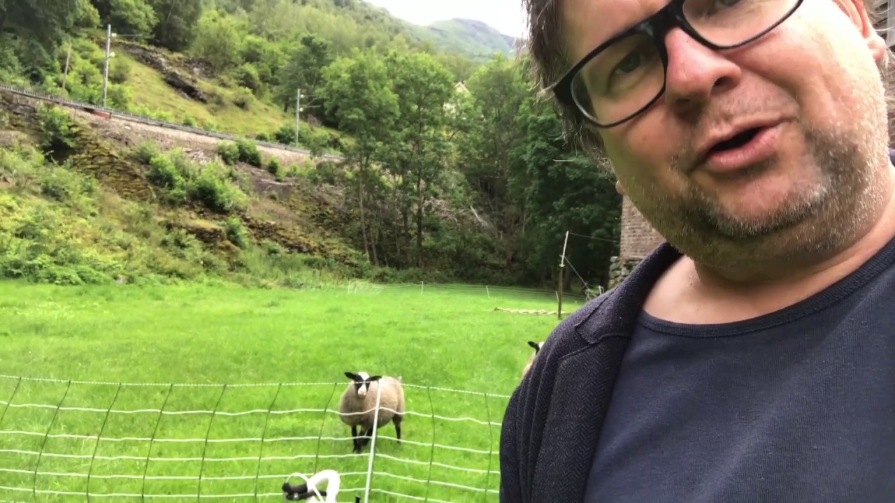 VM-Spezial med Finn Tokvam