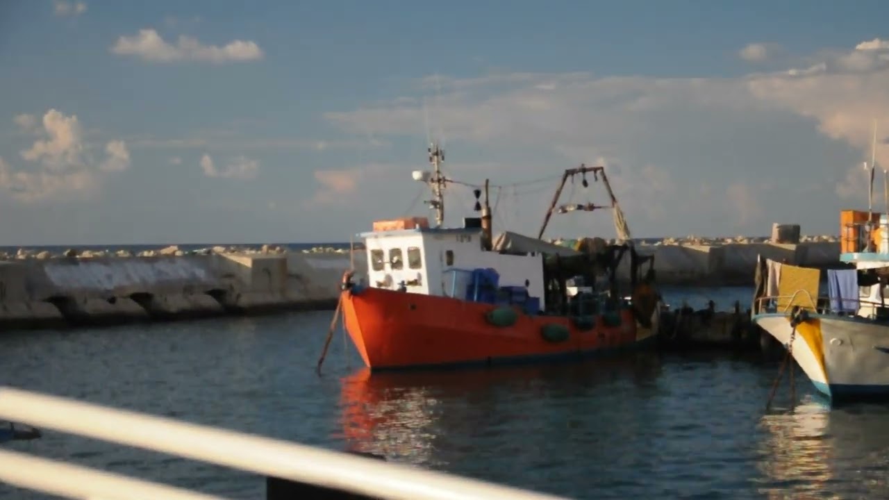 2014, Tel Aviv - Jaffa, Nature, Animals, Port, Ships and People