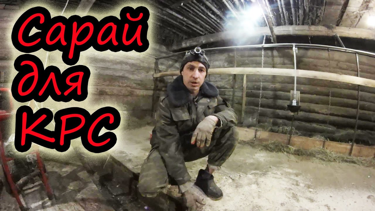 Сарай для 10 коров // Модернизация старого сарая // Бетонные полы // Содержание КРС // Семья Лях