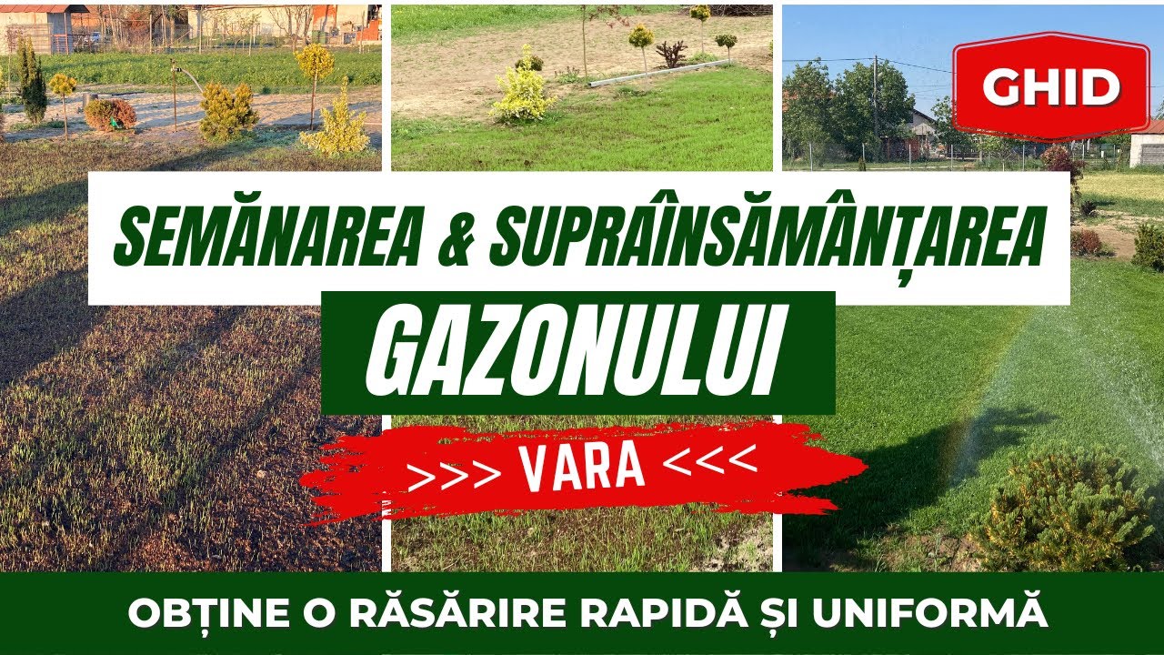 Semănarea și supra&icirc;nsăm&acirc;nțarea gazonului VARA - ghidul specialiștilor semintegazon.ro