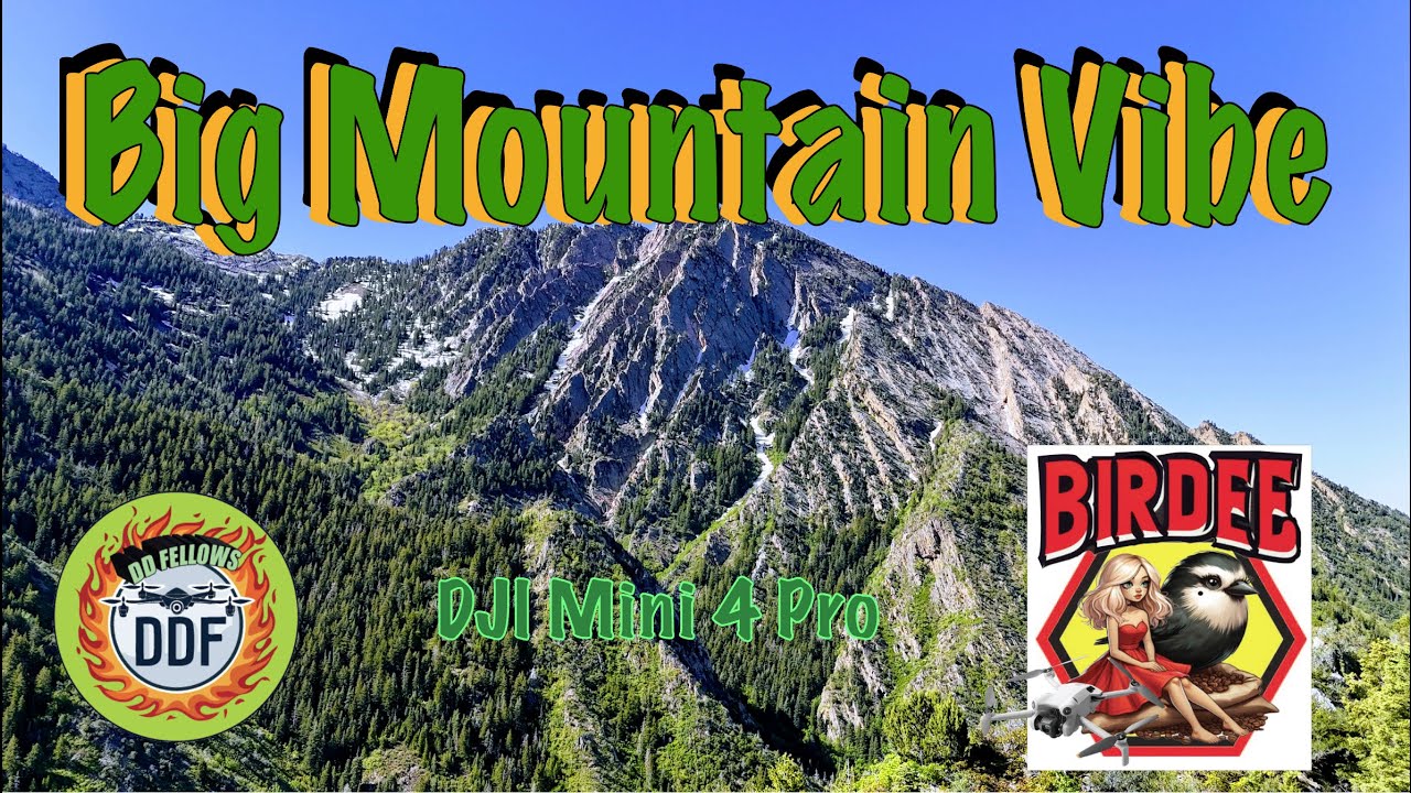 Big Mountain Vide