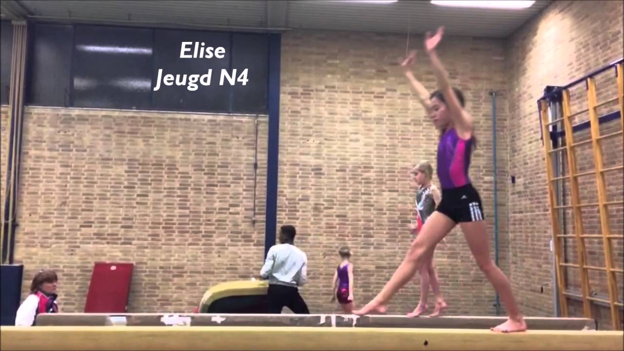 Nika Hoogland Turnen Damesselectie 2015-2016