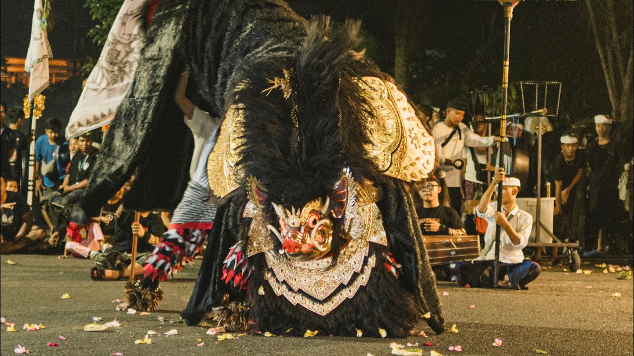 BARONG BANGKUNG PALING BANYAK ADA 20 EKOR