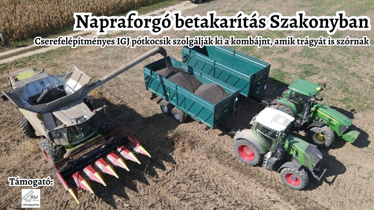 Napraforgó betakarítás IGJ pótkocsikkal - Szakonyban bizonyítanak a magyar gépek