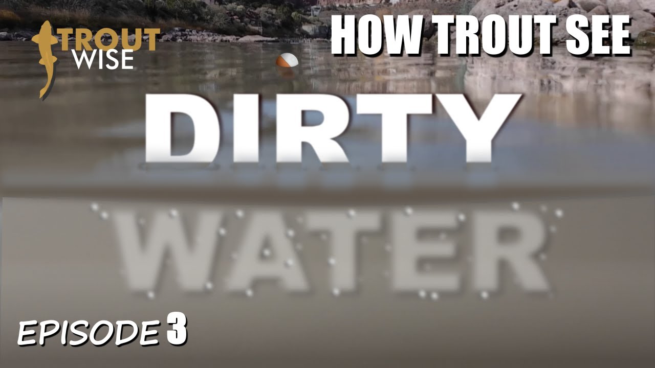 How Trout See - Fishing Dirty Water