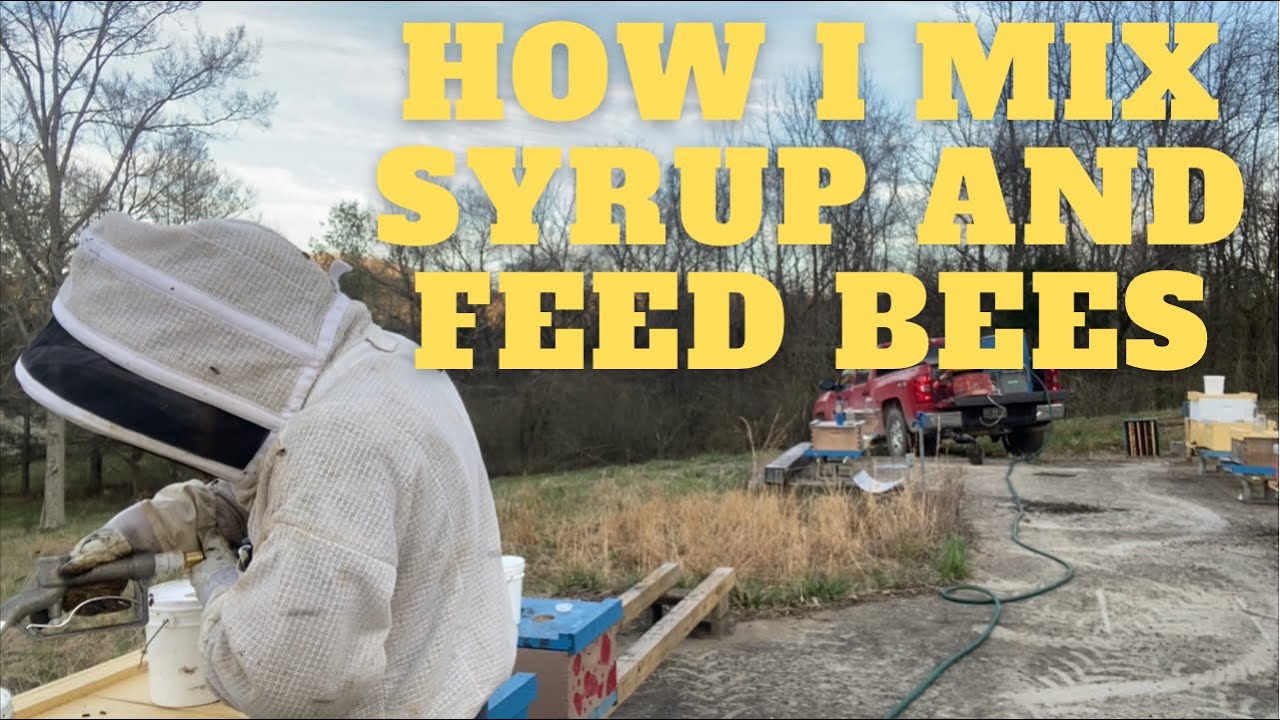 How I Mix Syrup and Feed Bees