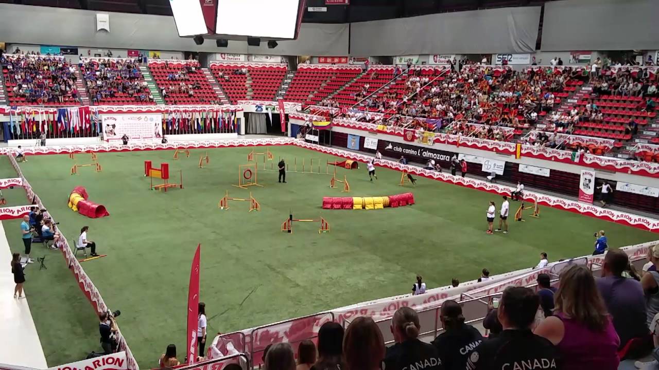 Janita Leinonen & Fu - Large Team Jumping at FCI Agility World Championships