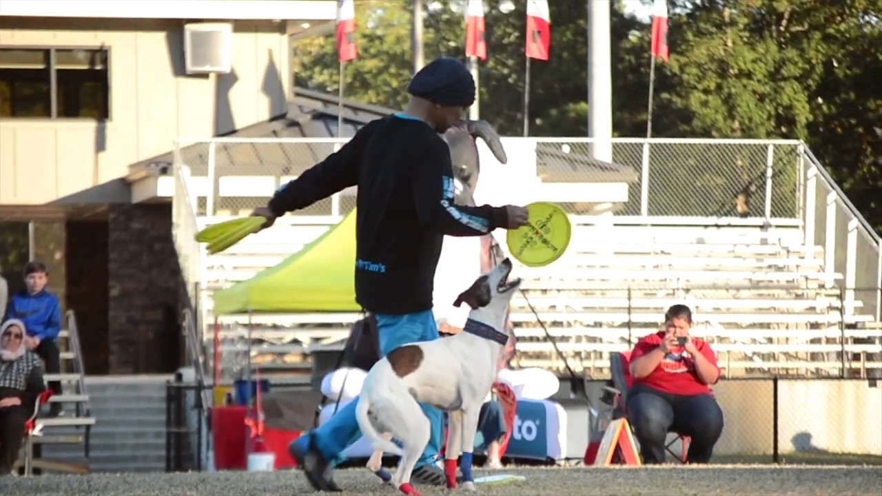 Yachi & Woof | USDDN World Finals 2019