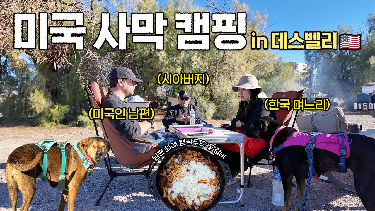 한국 며느리 울린 미국 시아버지의 진심 | 죽음의 계곡에서 보낸 2박3일 🇺🇸